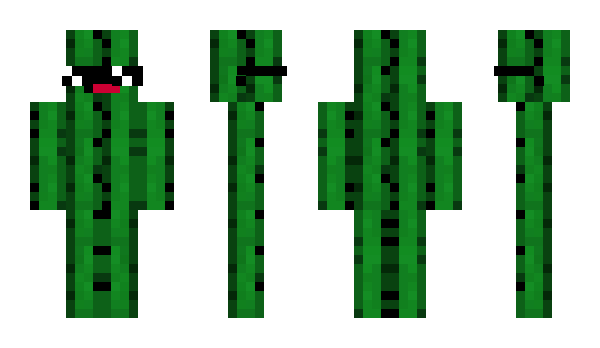 Minecraft скин по нику CasualMinecraft