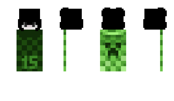 Minecraft skin reversl