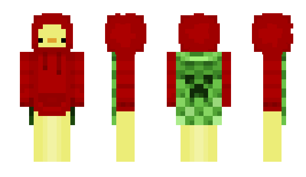 Minecraft skin _Reemi_