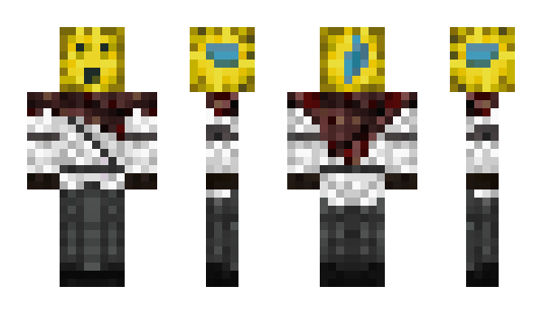 Minecraft skin sytsesd