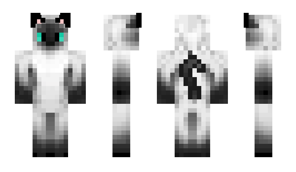 Minecraft skin EnderReaper