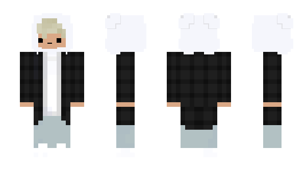 Minecraft skin jcsalt