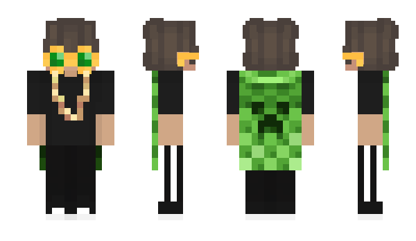 Minecraft skin riik