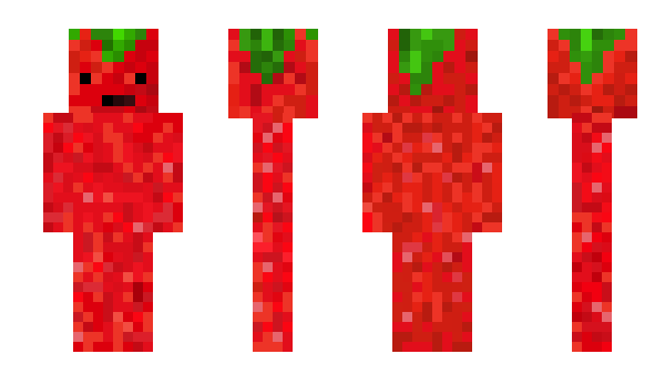 Minecraft skin Tomat4