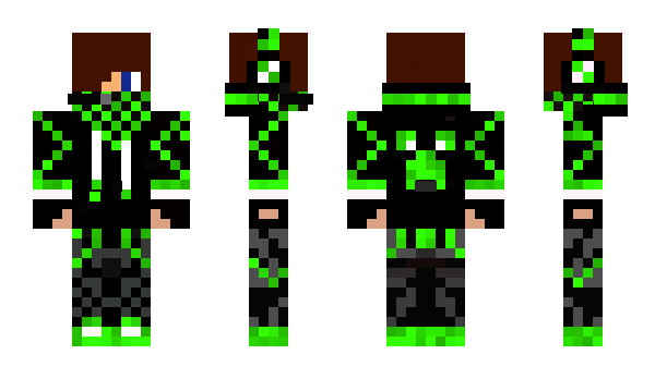 Minecraft skin S209