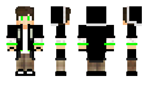 Minecraft skin Darrkwolf