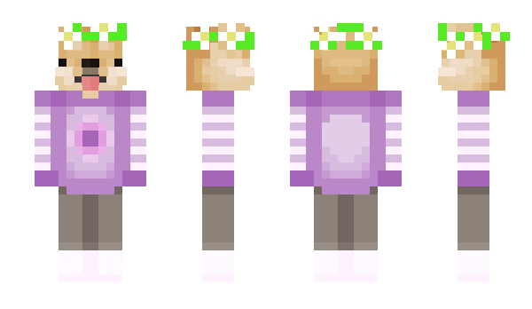 Minecraft skin Ypopp