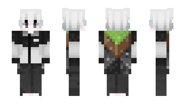 Minecraft скин по нику Ayush009