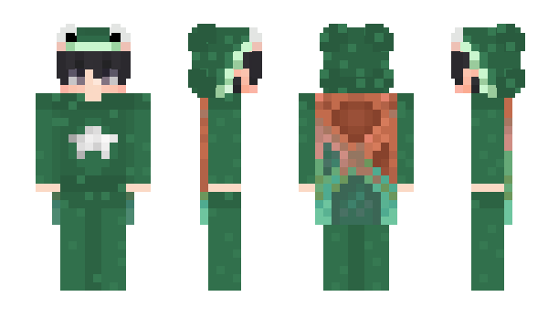 Minecraft skin froggiey