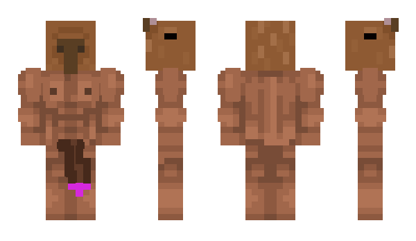 Minecraft skin Dark_Oak