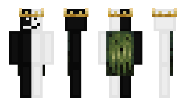 Minecraft скин по нику WyZ_EU