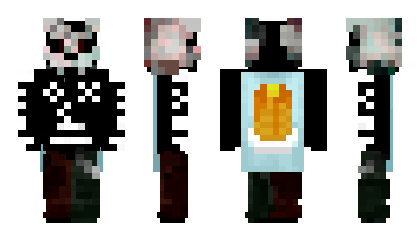 Minecraft skin Tpavlov