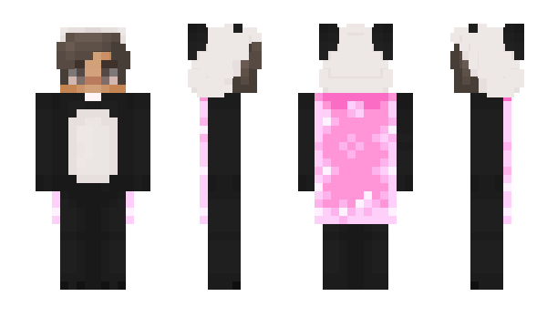 Minecraft skin ZetrexAlt