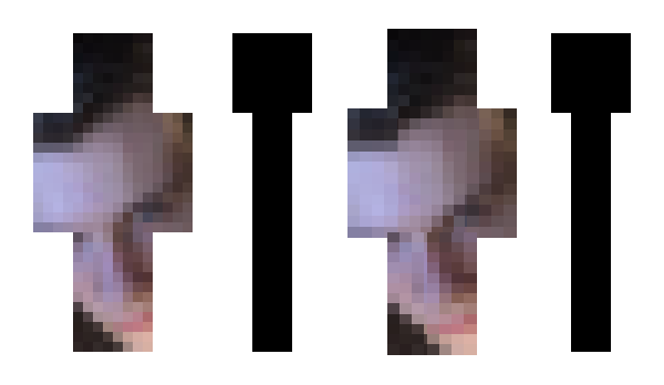 Minecraft skin Ewer_