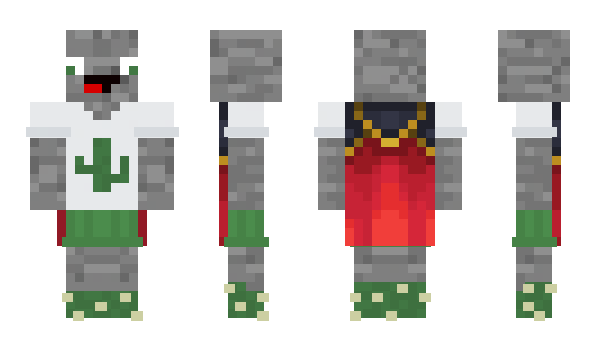 Minecraft skin KaktusStein