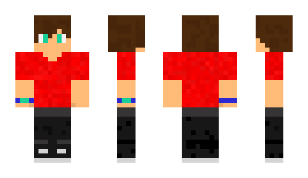 Minecraft skin dhav