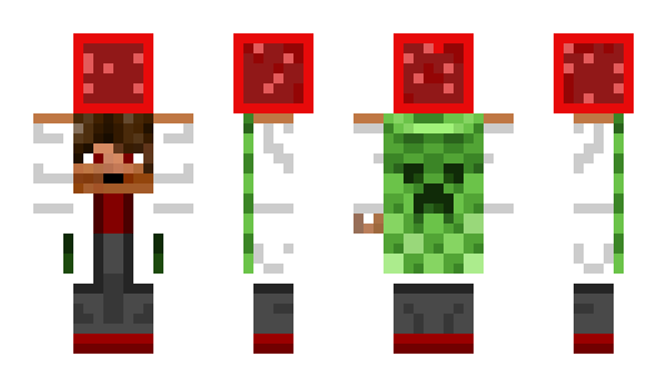 Minecraft skin Barry_Balzak