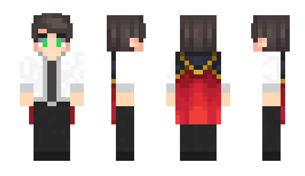 Minecraft skin TS_n