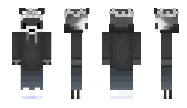 Minecraft skin Baskid