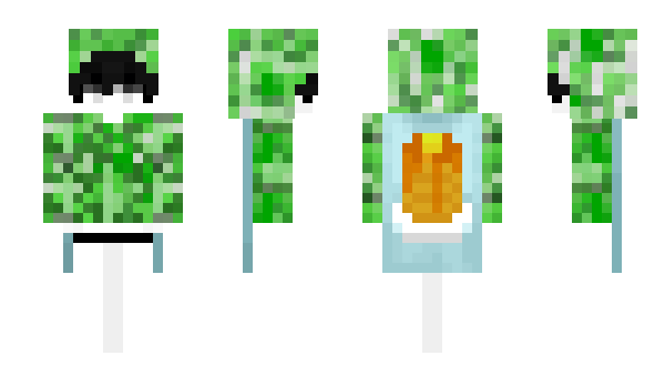Minecraft skin Raggartjej