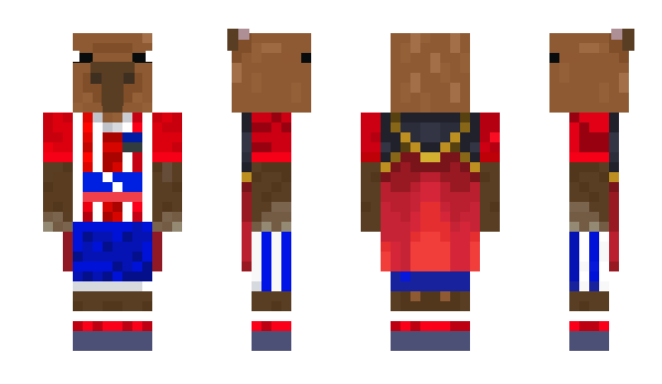 Minecraft skin JOTADO