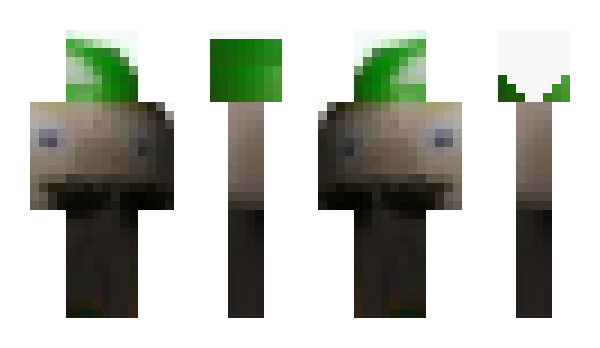 Minecraft skin Deks_