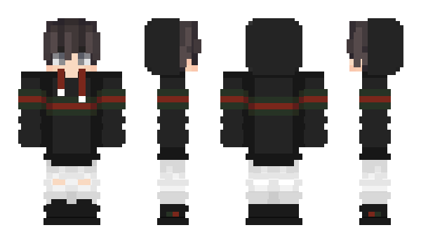 Minecraft skin R81
