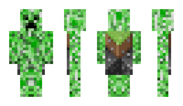 Minecraft скин по нику poka1