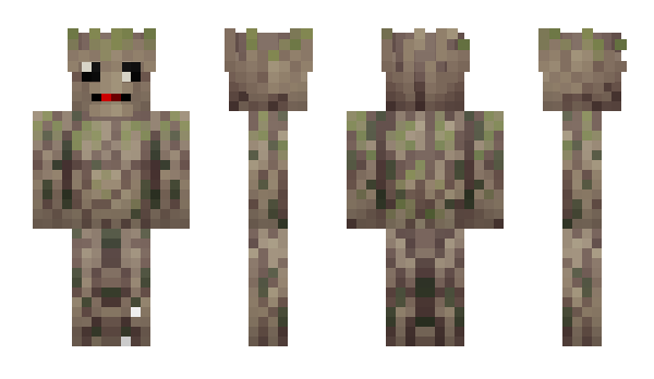 Minecraft skin Meowge
