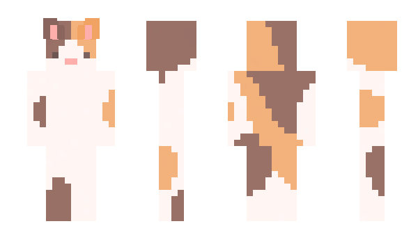 Minecraft skin BGMSS