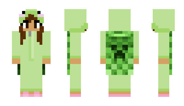 Minecraft skin WILDGAMER3207