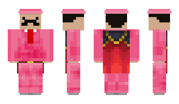 Minecraft skin surfinbird