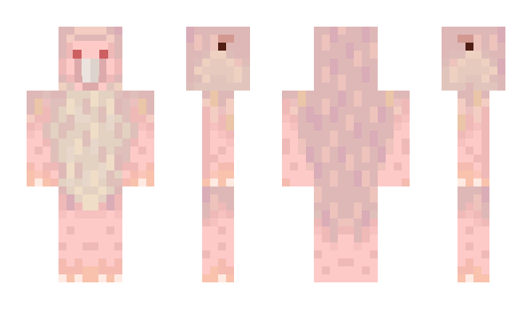 Minecraft skin Cloop007