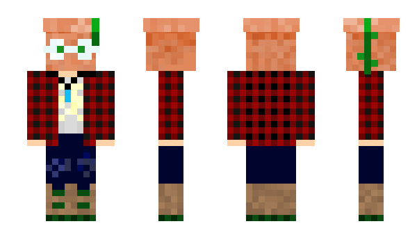 Minecraft skin annebun