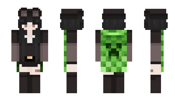 Minecraft skin lapipila