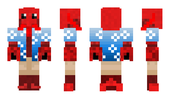 Minecraft skin Chdam