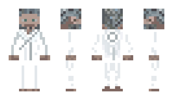 Minecraft skin acidicninja