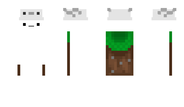 Minecraft skin Zuki_v