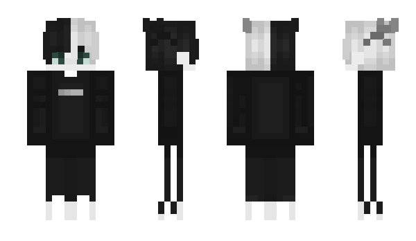 Minecraft skin Yto4kaPine