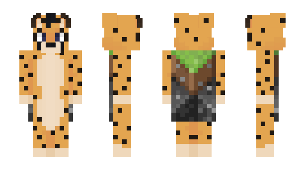Minecraft skin dsrea