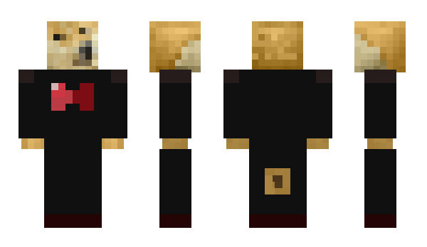 Minecraft skin PAWGL0RD