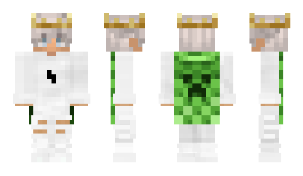 Minecraft skin 3240