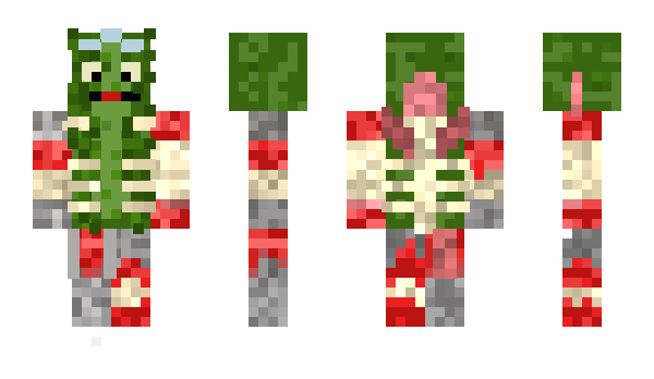 Minecraft skin Craxto