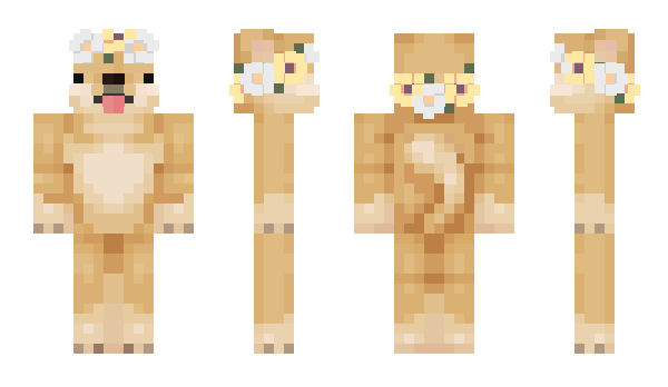 Minecraft skin DUBU