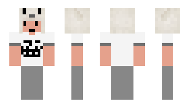 Minecraft skin asillox