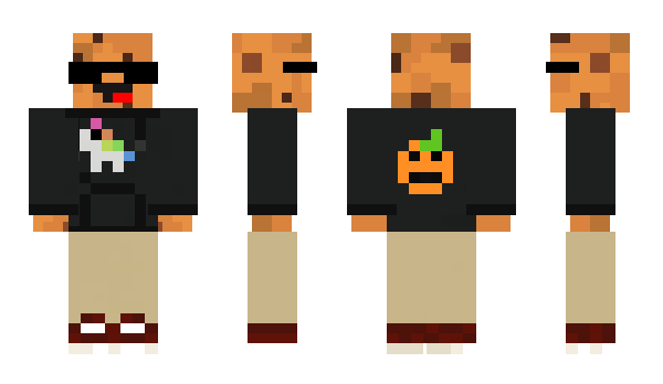 Minecraft skin qtixo