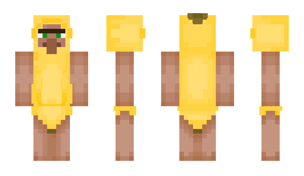 Minecraft skin PPOIY