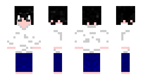 Minecraft skin newier