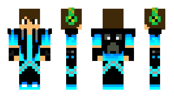 Minecraft skin PaPitt