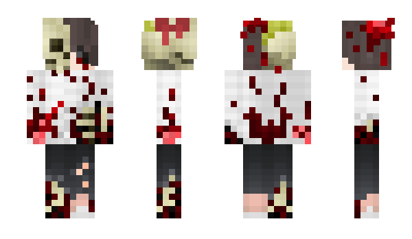 Minecraft skin Va11e